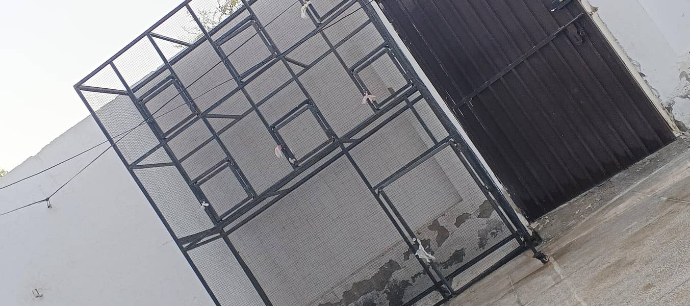 Cage available 1