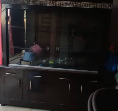Showcase in Good condition