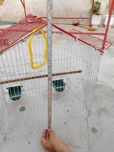 10/10 condition cages for parrots