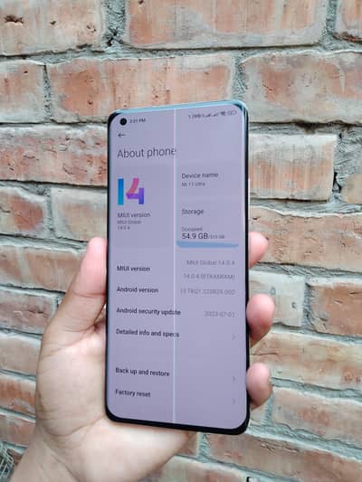Mi 11 ultra panel mein  do line hai