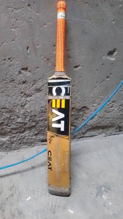 had ball bat
