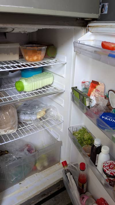Singer fridge