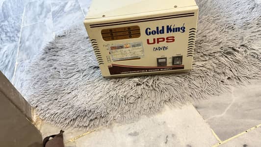 Flood king UPS