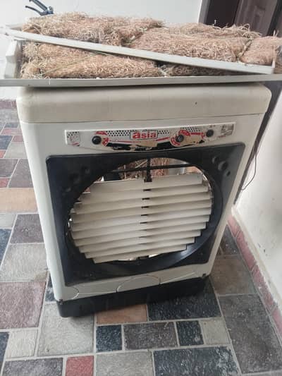 DC 12 v air cooler in plastic body