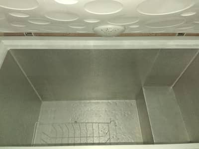Haier Freezer