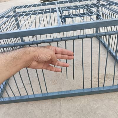 Pigeon Trap