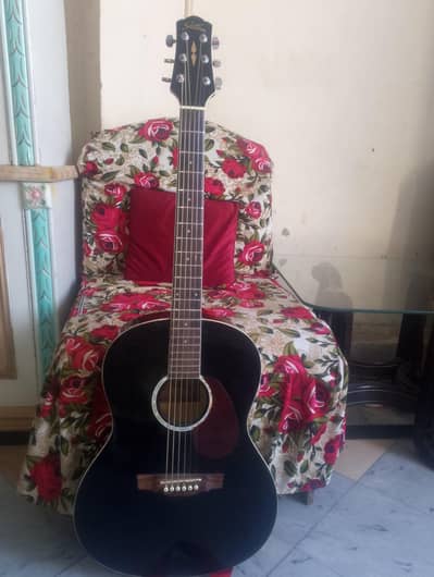 Professional Guitar for sale