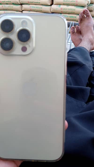 iPhone 14 Pro Max MDM