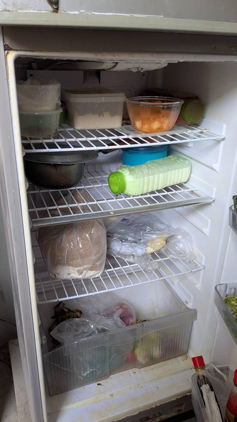 singer Refrigerator 5