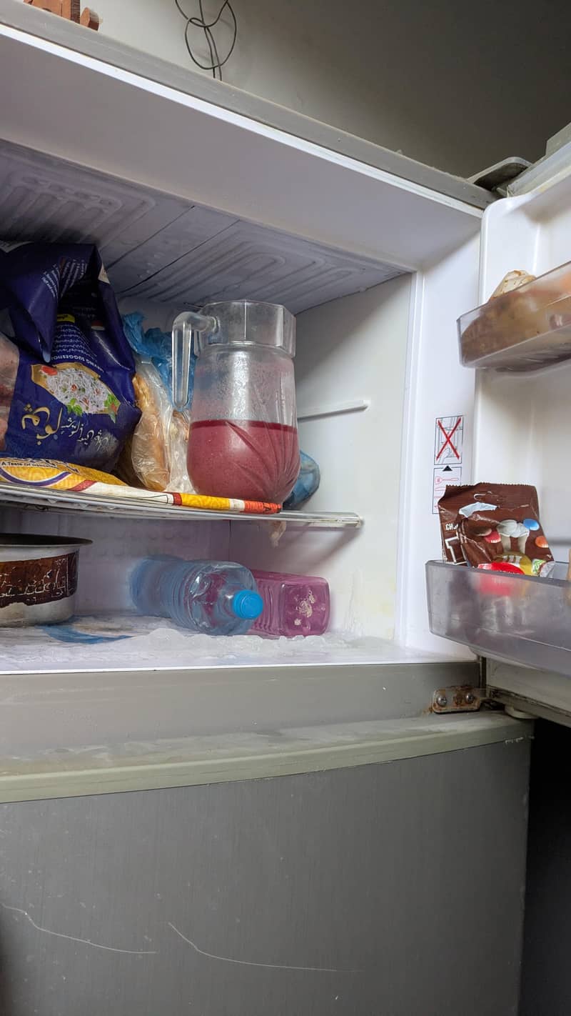 singer Refrigerator 6