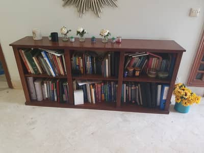 Long Low Console Bookshelf/case - Used