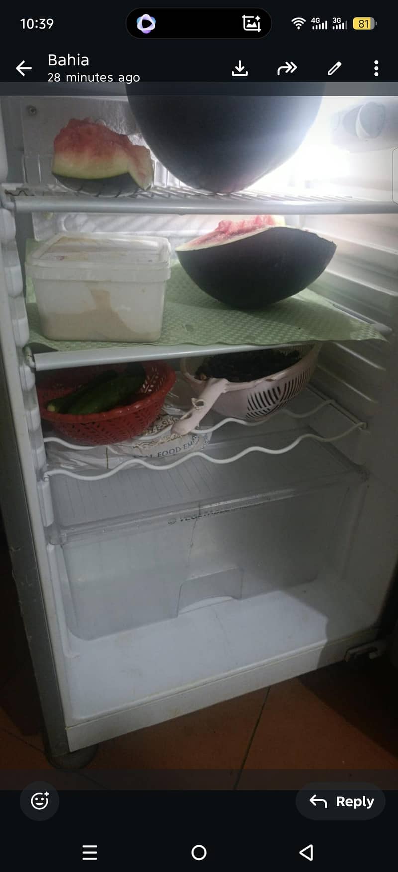 fridge 2