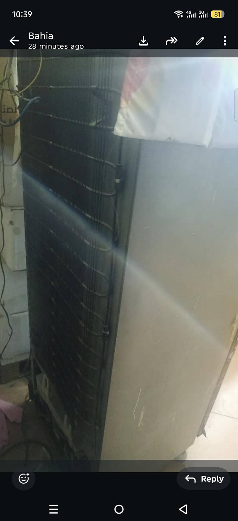 fridge 4