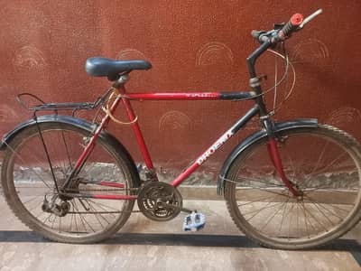Phoenix cycle with Gears