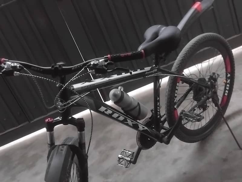 cycle ( roxy) 1