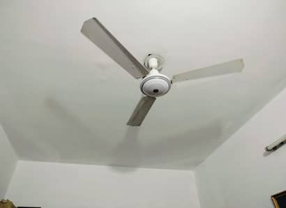 Royal and yonus fans || +92 331 5015022