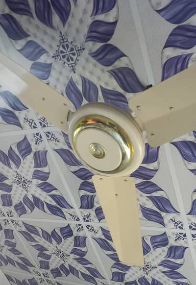Ceiling Fan