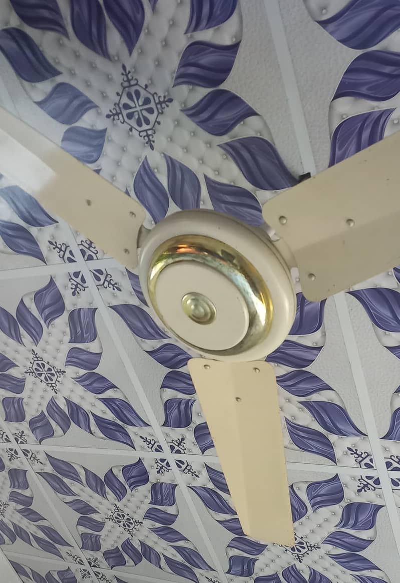 Ceiling Fan 0