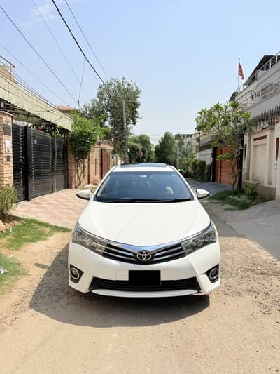 Altis grande 1.8