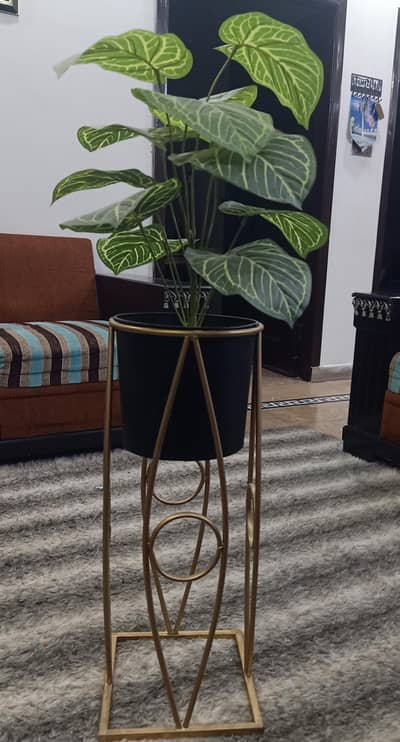 Vase with Flower