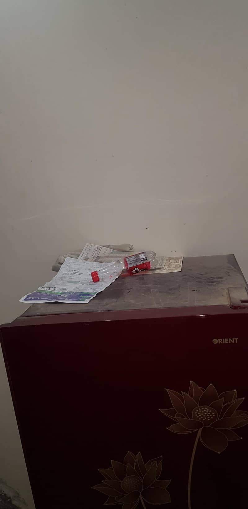orient fridge 2