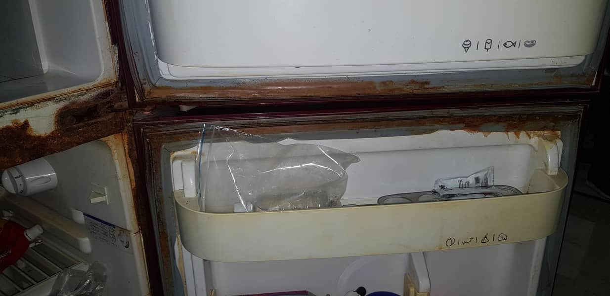 orient fridge 6