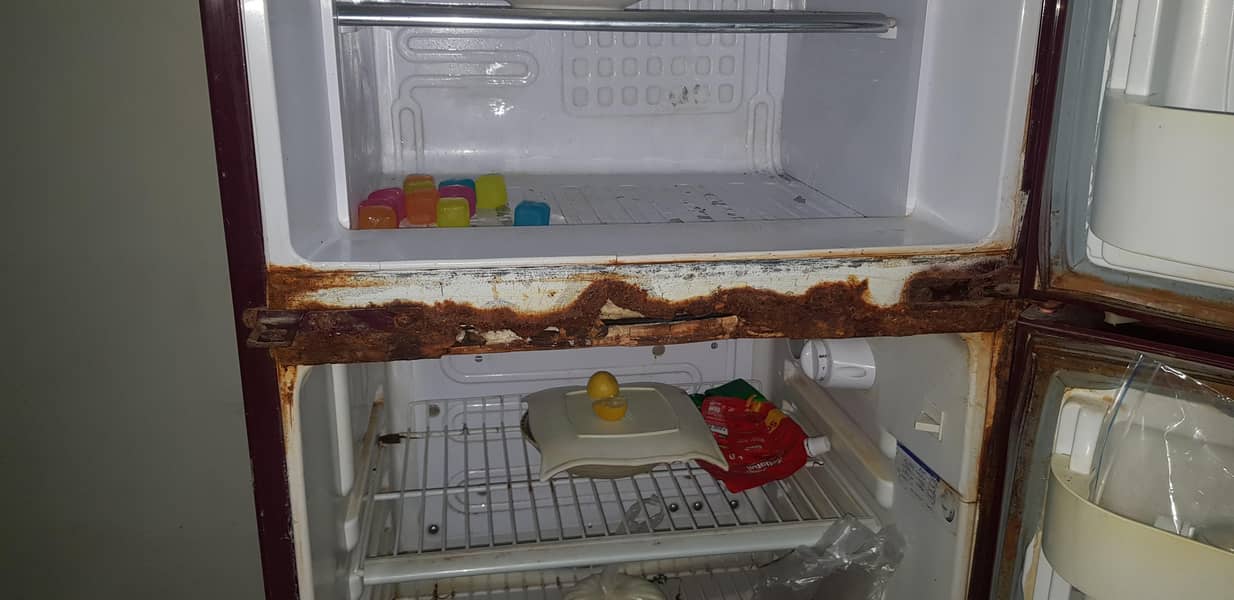 orient fridge 7