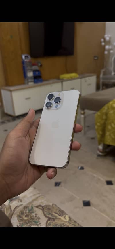 13 pro (FACTORY UNLOCKED)