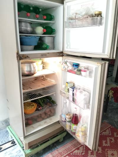 Pel Freezer medium size 03007625720