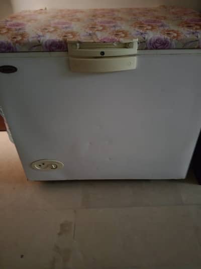 10CF Waves Single Door Freezer