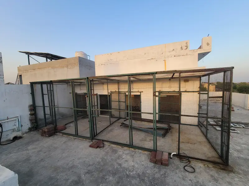 hen cage for house — photo 3