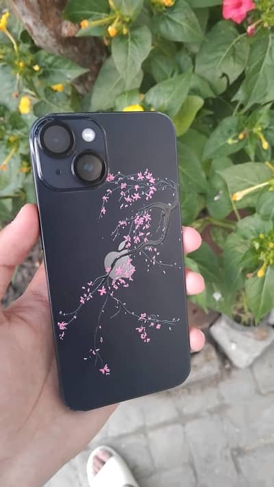 iPhone 14 Bypass