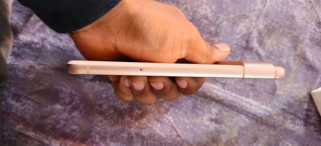 google pixel 8 1