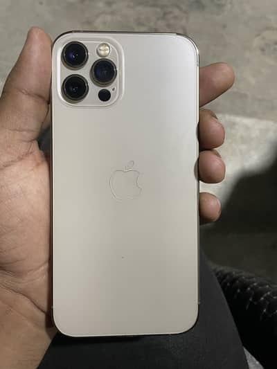 12 pro nonpta