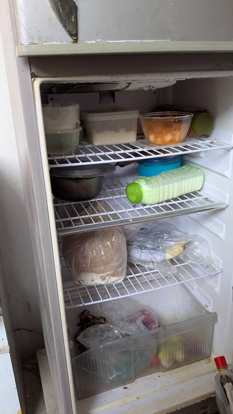 singer Refrigerator 9