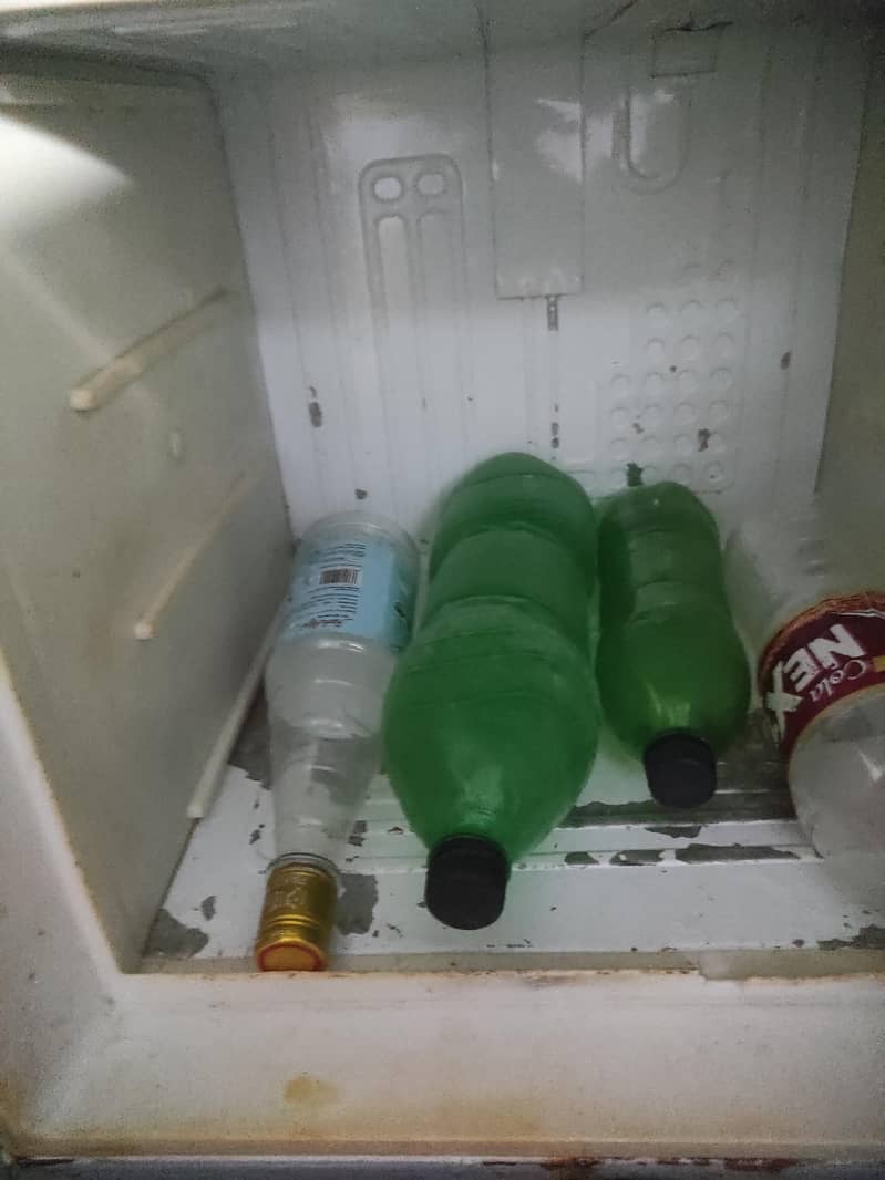 fridge 1