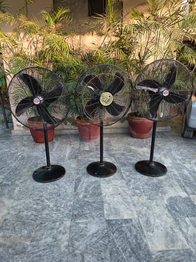 4 pedestal fana for sale.