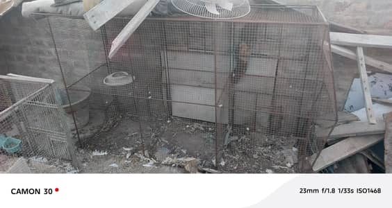cage for sale 3 cage han