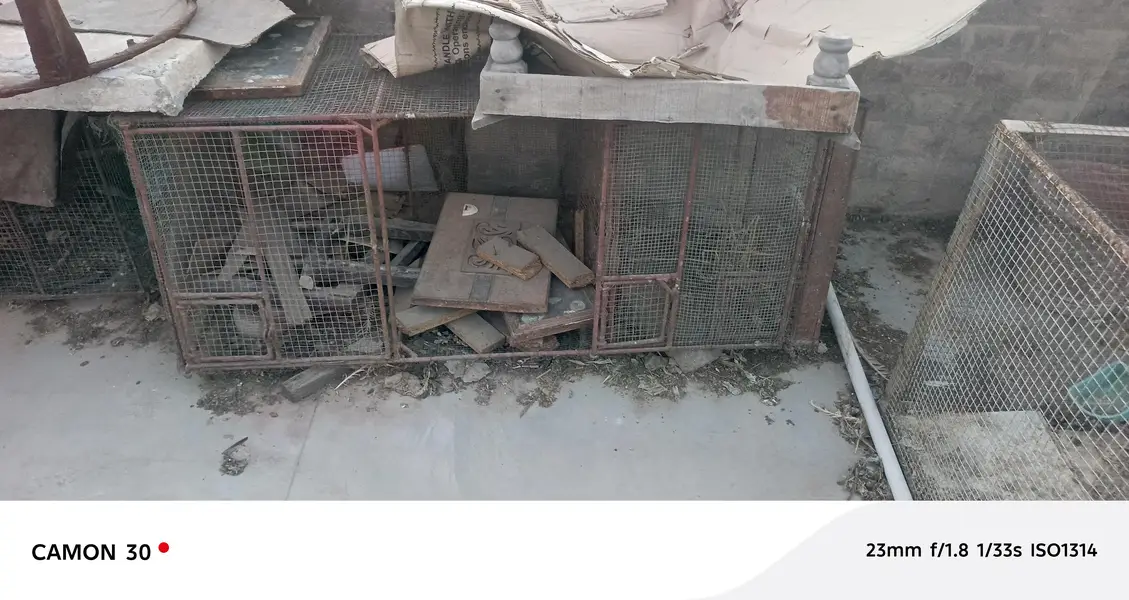 cage for sale 3 cage han — photo 3
