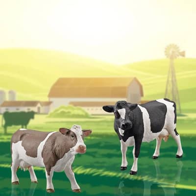 Farm House cow model look like realistic quality products