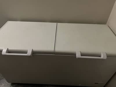 Haier D freezer