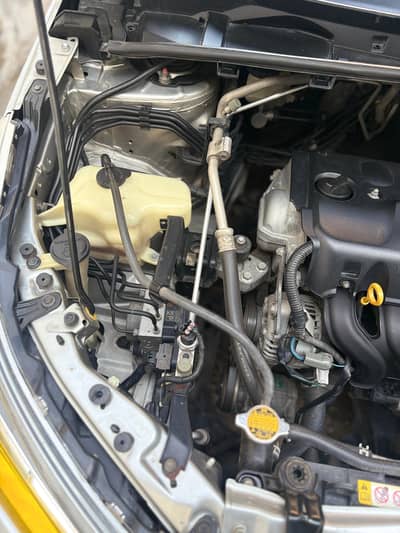 brand new condition