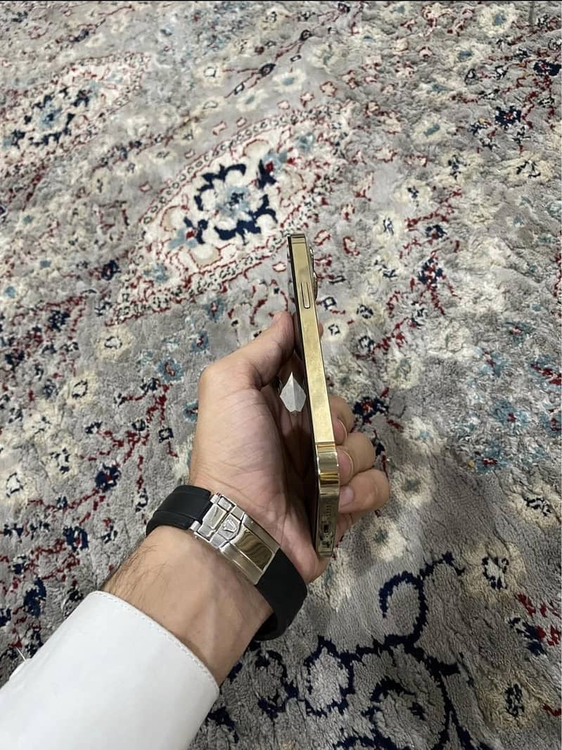 Iphone 13 Pro 2