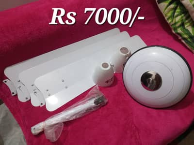 Wahid ceiling fan