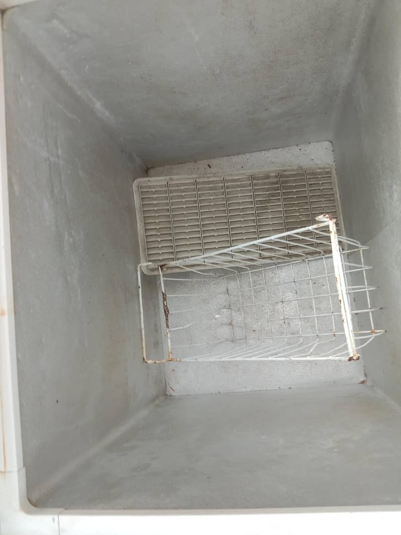 freezer 3