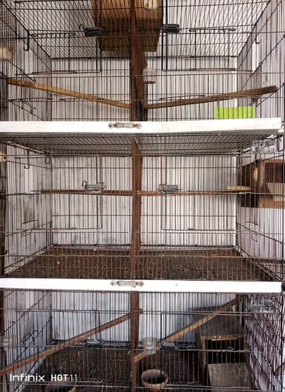 Cage for Parrots