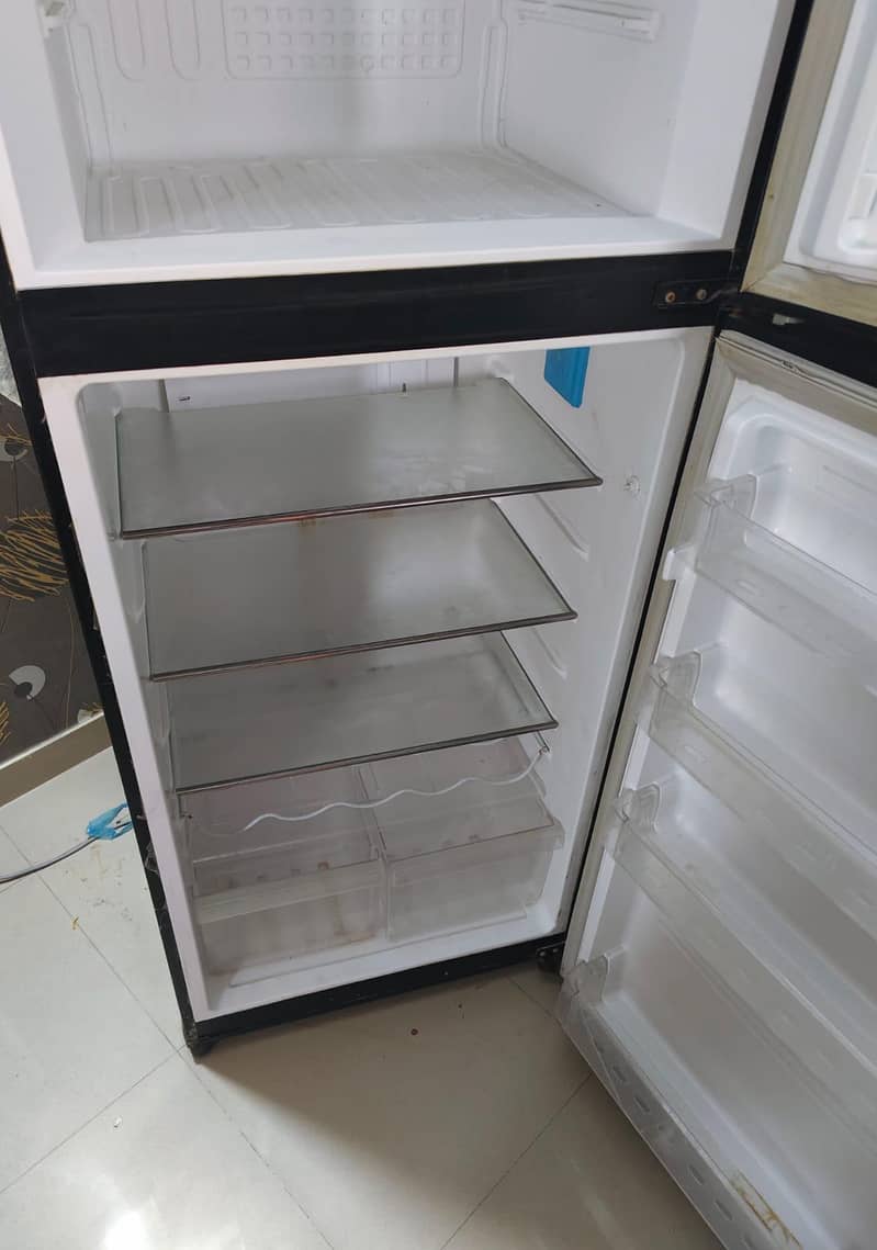 fridge 6