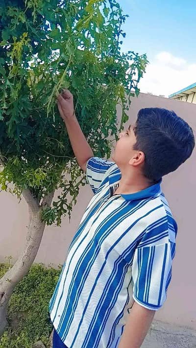 Abdullah 