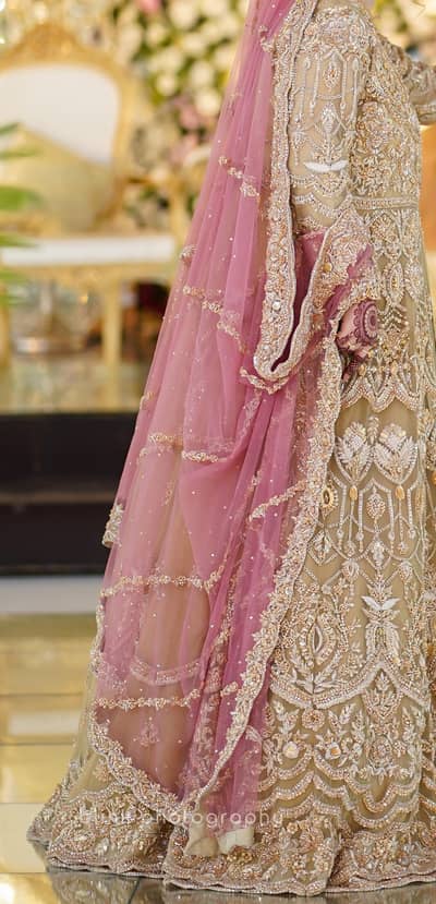 walima maxi