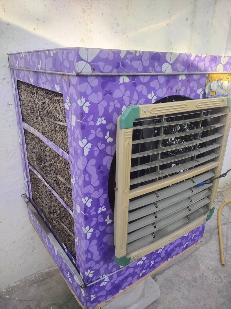 12 Volt Cooler 0